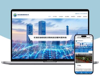 中都华通模板站